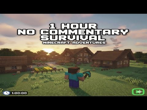MINECRAFT: 1 Hour of No Commentary Gameplay #minecraft #nocommentary #survival