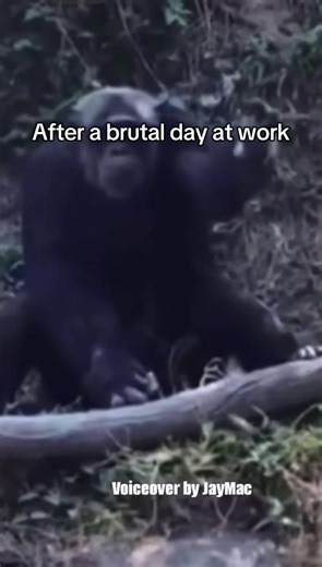 He’s stressed😂 #fyp #worktok #viral #foryoupage