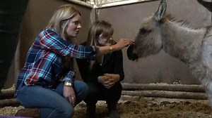 18K views · 285 reactions | We just HAD to save them: Meet our new...