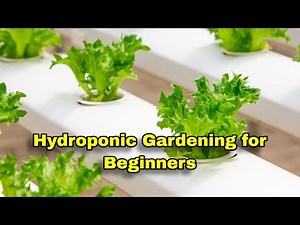 Mastering Hydroponics For BEGINNERS At Home | Hydroponic Gardening for Beginners