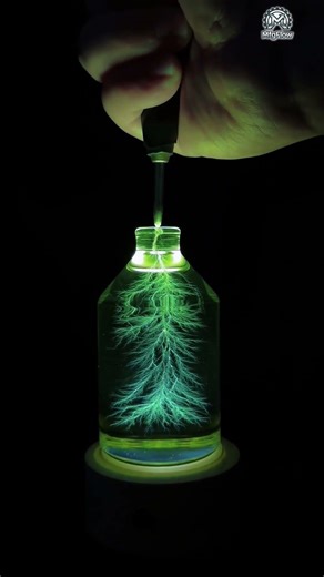 Lightning Trapped Inside a Bottle? The Insane Lichtenberg Figure Experiment!