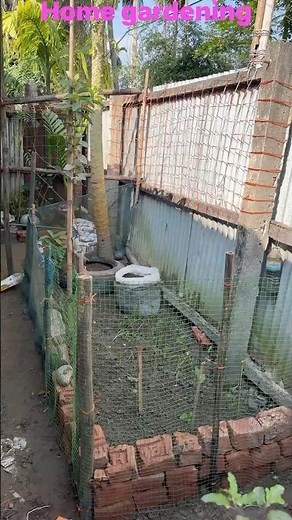 “Beginner’s Guide to Gardening: Start Your Dream Garden Today!” #viral #nature