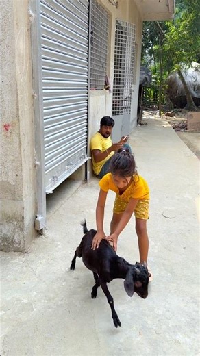 Magic Goat 🐐 The funniest magician on the internet! 😂🎩 #FunnyMagician #MagicTricks #ComedyVideo