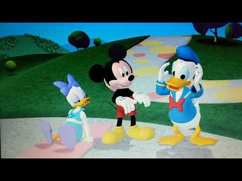 Donald helping me get my Sunglasses back, looking for his lost lion