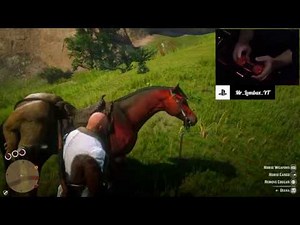 Red Dead Redemption 2 Online Strikepack Mods Setup Tutorial! (Rapid Fire, Turbo Paddles & More)