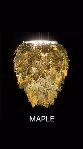  Unveil the ‘Nature of Light’  Step into the enchanting world of...