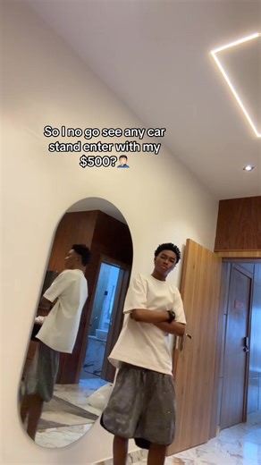 Navigating Car Purchases with Limited Budget