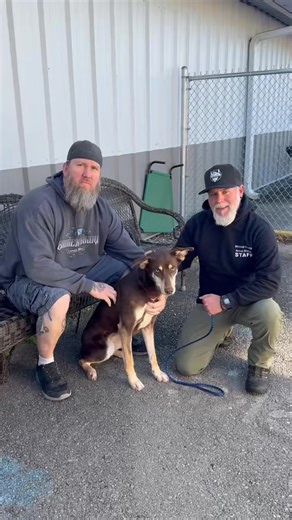 Today, Larry and Alex took a trip over to the Whitfield County Animal Shelter to meet some of the amazing dogs waiting for a second chance — and let us tell you, every single one of them would make an incredible Christmas companion. ❤️ We’re proud to support the shelter again this year with our Annual Pet Drive! Here’s how you can help: 🦴 Bring in a donation of pet food or small blankets 🎁 For each donated item, you’ll receive a $50 gift card (valid through March 1, 2026; not stackable) 🗞️ We