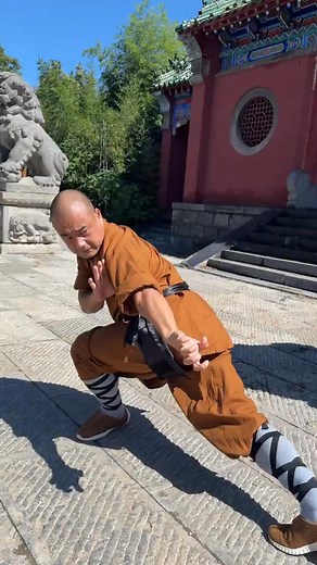 Shaolin FiveAnimal Boxing 💪🇿🇲🦅 | Dickson The Martial Man