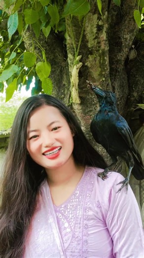 Interaction Between Person and Crow in Nature