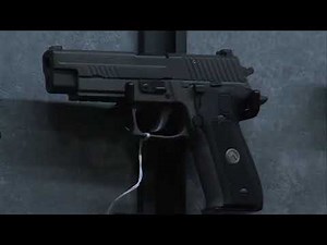 Indiana and Illinois gun laws