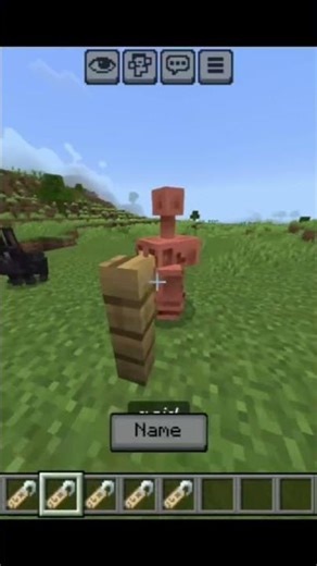 Minecraft name tag 😭 #minecraft #shrots