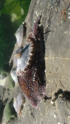 You Walk Past These Every Day Without Realising