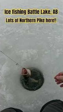 Ice Fishing for Northern Pike on Battle Lake, AB