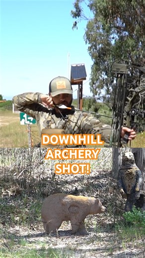 DOWNHILL shots with the Hoyt compound bow on a 3D Bear at 46 YARDS! #archery