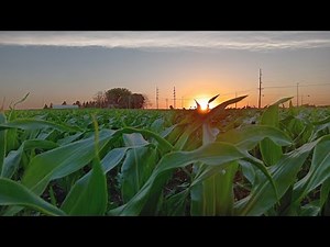 This Small Iowa Town Completely Surprised Us! Celebrating America 250!