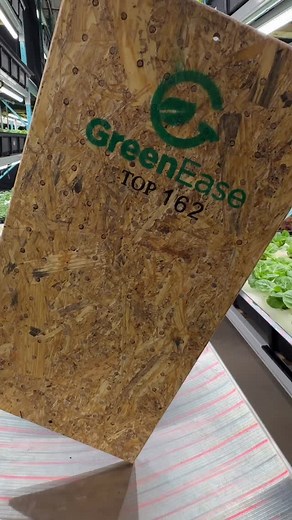 Brand new seedling poppers thanks to GreenEase. We love supporting smaller local businesses when we get the chance! Thank you for the high-quality poppers! | Vertical Roots