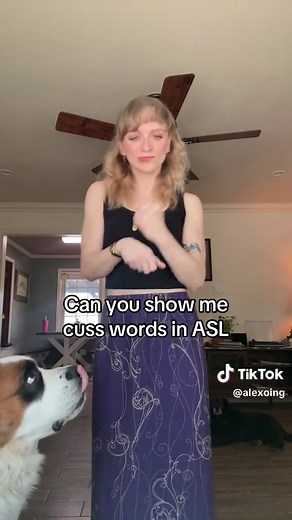 Everytime i tell someone im an #interpreter stg these are the first questions #asl #pitbull