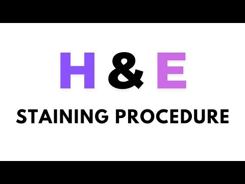Hematoxylin and eosin staining procedure, H & E staining steps, H&E staining overview