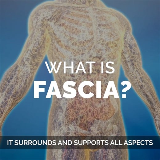 What is fascia… really? It’s more than “connective tissue”—it’s the stability system of your entire body. Fascia surrounds and supports everything: your muscles, bones, nerves, joints, and even your organs. It keeps your skin smooth, your posture balanced, your joints cushioned, and your whole system working as one integrated network. When this system becomes dehydrated or stressed, you feel it: pain, stiffness, poor sleep, low energy, digestive challenges… the list goes on. Most people end up t