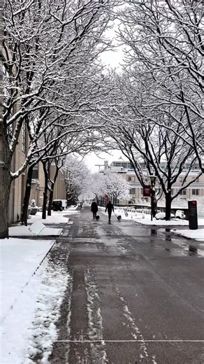 Carnegie Mellon University on Instagram: "woke up to campus wrapped in a snowy blanket 🧣❄️ #LifeatCMU"