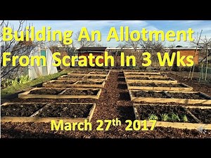 Building an allotment plot in 3 weeks