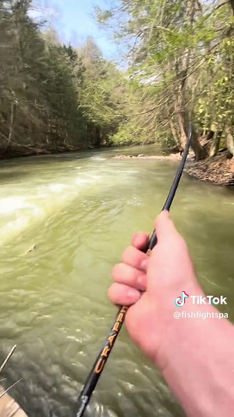 You’ll NEVER believe what I caught… #fishing #trout #troutfishing