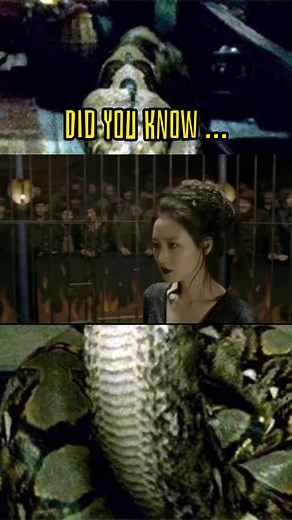 Nagini: The Mysterious Snake in Harry Potter