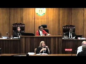 Pistorius trial: witness relates Reeva Steenkamp's last moments