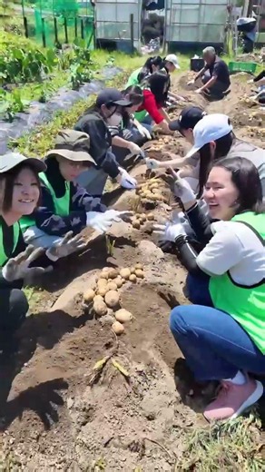 【サービスラーニング】佐伯市宇目で環境学習と農業体験を行いました🌻