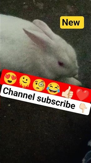 🫠🧐😂#memes #funny #fun #comedy #viral #shortvideos #love #youtubeshorts #pleasesubscribe