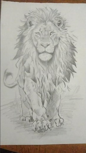 lion drawing ! #art #lion #sketch