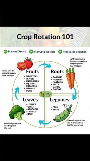 The Secret to Healthy Soil: Why You Must Rotate Your Crops #plants #ecofriendly #garden #farming