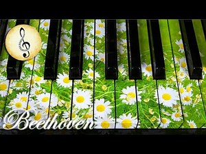 Beethoven Classical Music for Studying, Concentration, Relaxation | Study Music | Piano Music