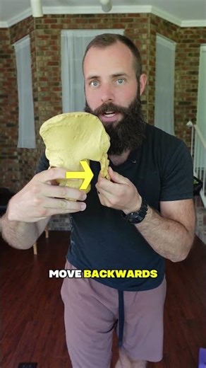Your disc issues start at the pelvis
