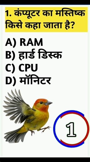 99% Students Fail ❌ | Computer GK Questions in Hindi | Exam Special #Samanya Gyan TV #shorts