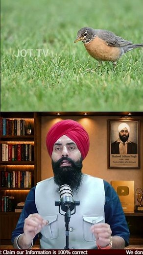 Duniya De Sab Ton Rang-Birange Bird Eggs! Kudrat De Hairan Karan Wale Karishme #BirdEggs #Nature