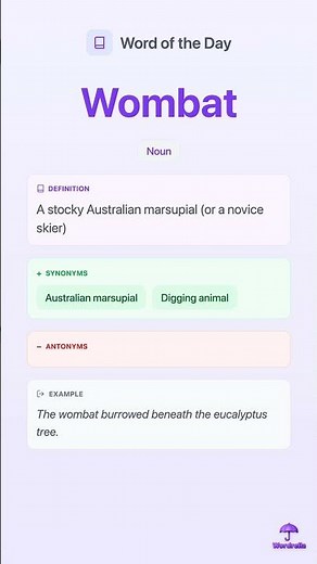 WOMBAT - Word of the Day | Learn English Vocabulary | Wordrella