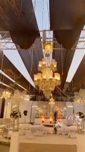 Weddings are incomplete without roses! Look no further and get fresh scented roses from MS flower!