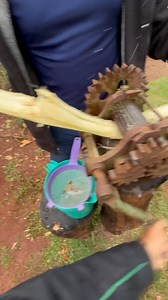 Caldo de cana direto da fonte! | 𝐀𝐆𝐑𝐎 𝐅𝐎𝐑𝐓𝐄 𝐌𝐒