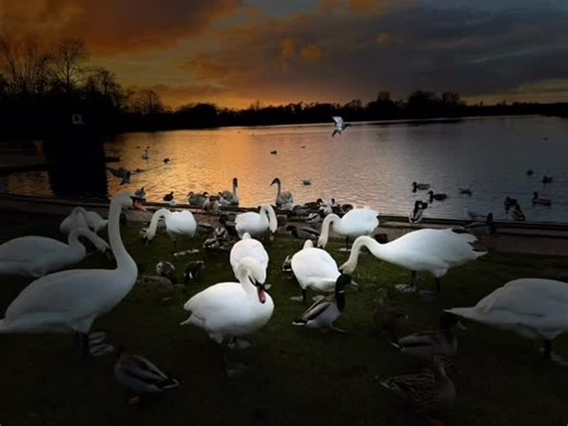 New Year’s Eve Eve at the Meare. #thorpeness #thorpenessmeare #suffolkparadise #suffolk | Dolphin Inn Thorpeness