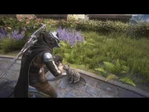 NEW CAT LOCATION | DESTINY: RISING
