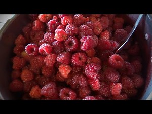 RASPBERRY jam or what do I make from raspberries?