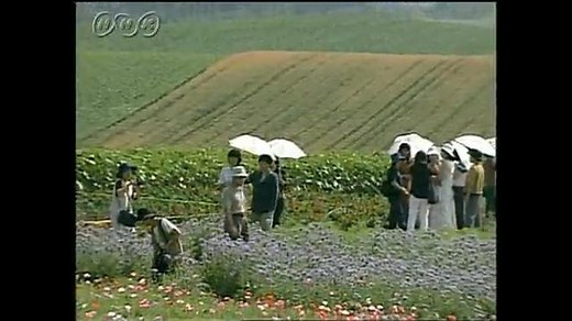 北海道の観光 | NHK for School