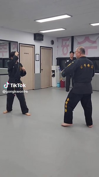 Mastering Front Kick and Backspin Kick Techniques