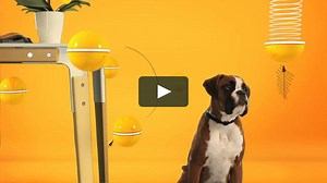 Universal Channel Ident - Yellow