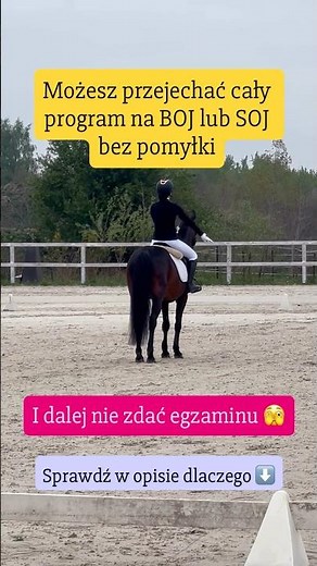 Jak zdać BOJ i SOJ - odznaki jeździeckie PZJ? #jazdakonna #jeździectwo #konie