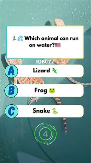 💧 “Runs on water!”🦎 “Lightning fast legs!”which animal can run on water#usaquiz #usa #amercia