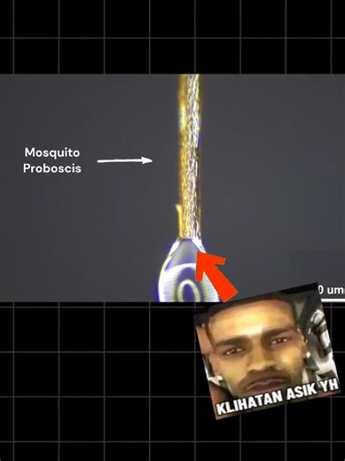 Teknologi untuk mencetak organ manusia #teknologi #science #biologi#fyp #3dprinting