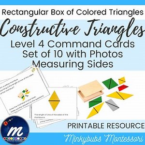 Constructive Triangles Measuring Sides Command Cards for Set 1A Level 4